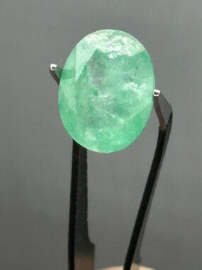 GIANT Certified Natural Emerald